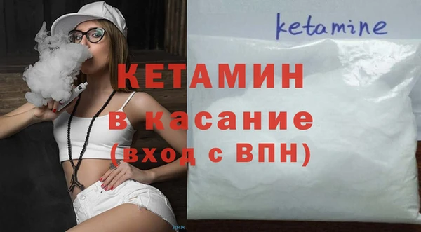 сатива Новодвинск