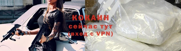 прущий лед Новозыбков