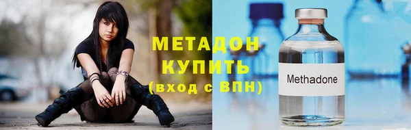 сатива Новодвинск