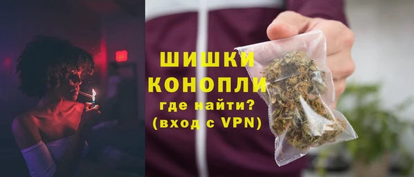 сатива Новодвинск