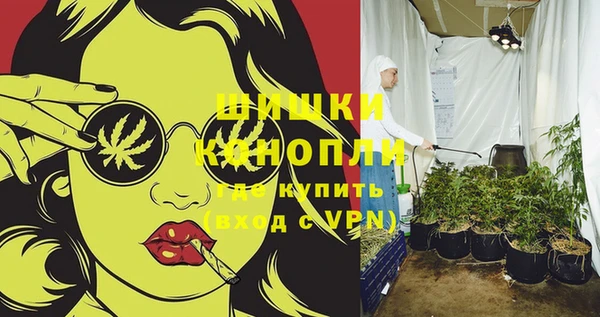 сатива Новодвинск