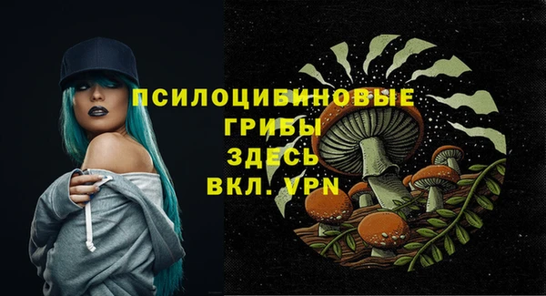 бошки Няндома