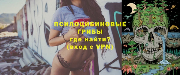 прущий лед Новозыбков