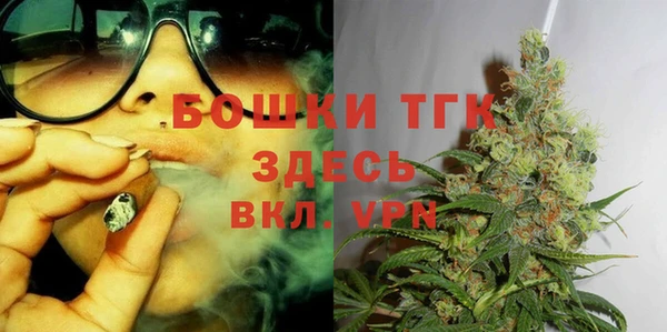 сатива Новодвинск