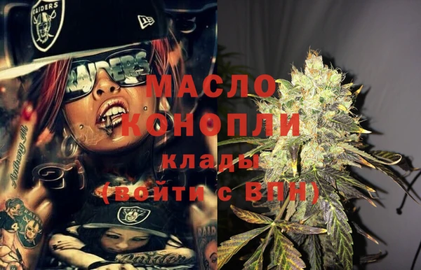 сатива Новодвинск
