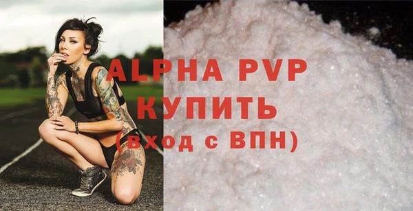 сатива Новодвинск